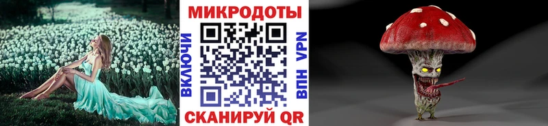 закладка  Елец  Псилоцибиновые грибы Psilocybe 